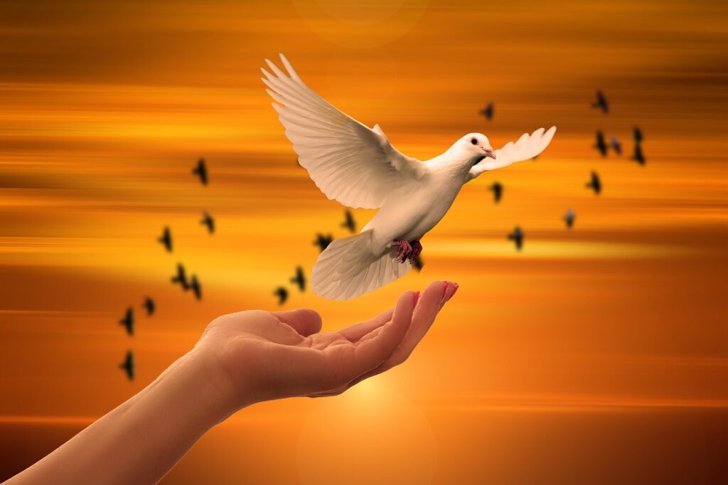A white dove flying from an open hand